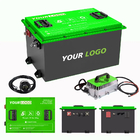 OEM ODM LiFePO4 Lithium Battery Pack Lithium Ion Battery 48V For Golf Cart