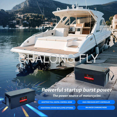 96V 300Ah IP67 Waterproof Marine Lithium Battery with 6000 Cycles for Electric Boats and Yachts