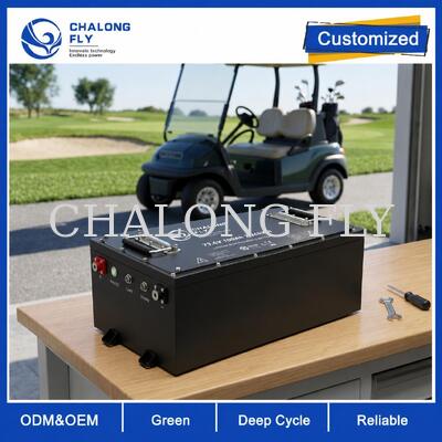 OEM ODM LiFePO4 Golf Cart Battery with Custom Voltage Custom BMS and CAN Communication