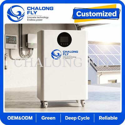 16kWh LiFePO4 All-in-One Solar ESS with 12kW Hybrid Inverter for Residential Energy Storage System