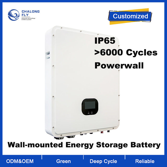 48V IP65 Waterproof LiFePO4 Lithium Battery Household Powerwall with 6000+ Cycle Life Energy Storage System