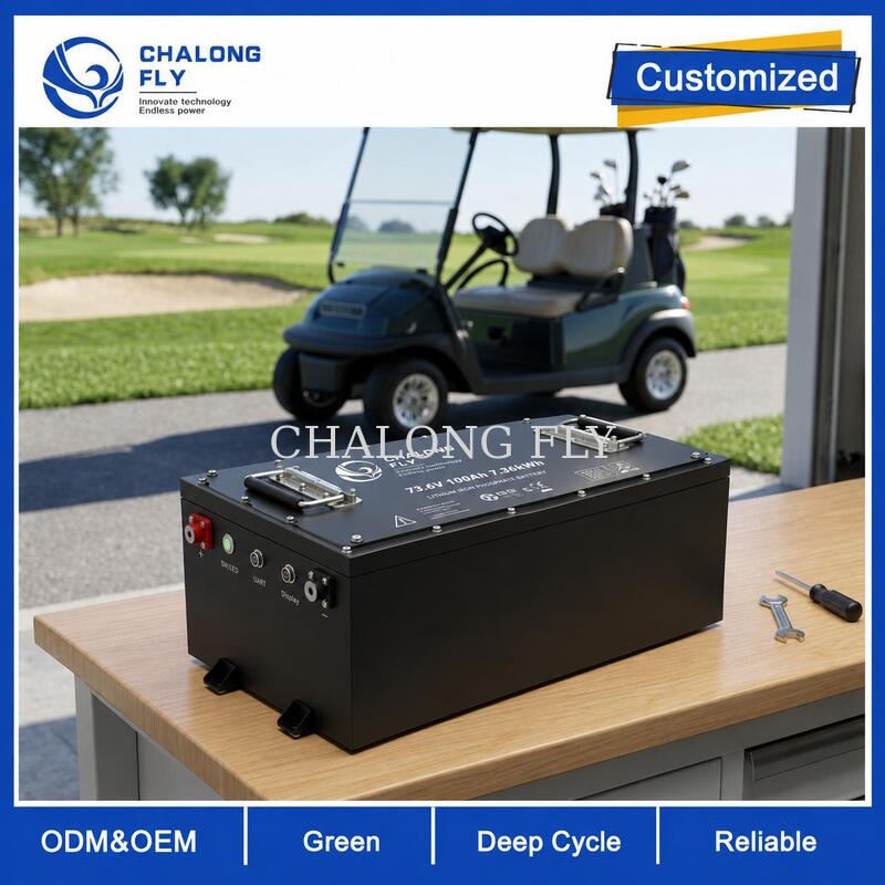 OEM ODM LiFePO4 Golf Cart Battery with Custom Voltage Custom BMS and CAN Communication
