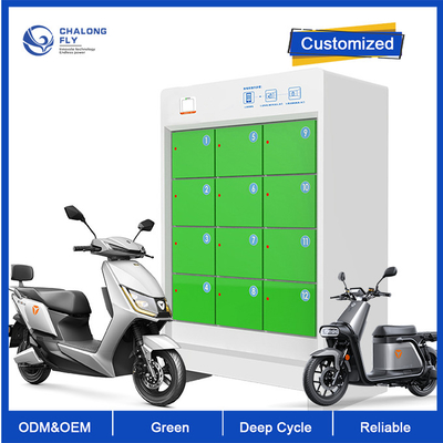 OEM ODM LiFePO4 بطارية ليثيوم 5 غرف تبديل البطارية محطة مخصصة