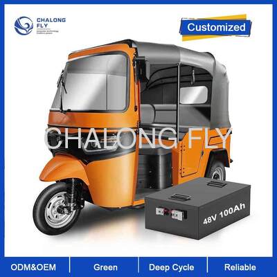 بطارية ليثيوم أيون ليفبو 4 ذات الطاقة العالية 48V25AH 50AH 75AH 100AH وحدة تحكم محرك المركبات الكهربائية 2000W 3000W 5000W بطارية الكهرباء