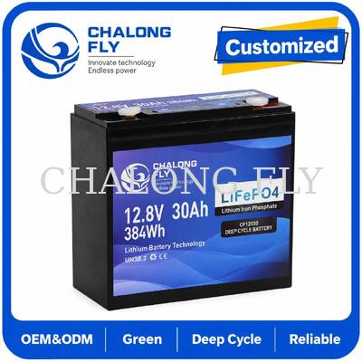 12.8V 30Ah بطارية LiFePO4 العميقة الدورة مع 384Wh الطاقة و BMS الذكية لأنظمة 12V